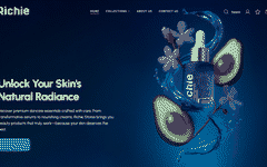 Richie Stores website in a retro color preview
